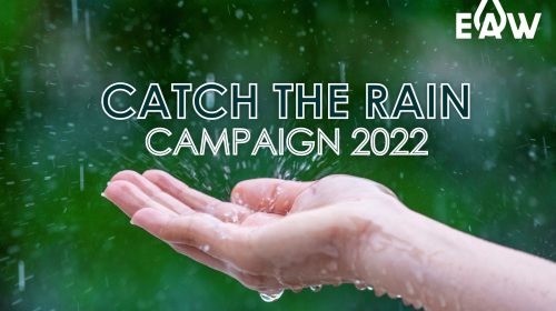 Catch the Rain