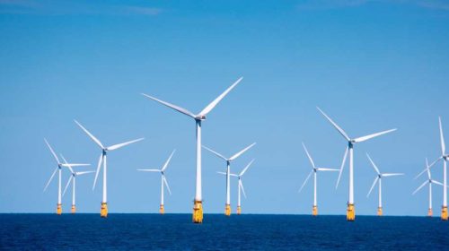 PIONEERING REPORT SETS THE COURSE FOR NATURE-POSITIVE ENGINEERING IN COASTAL AND MARINE ENVIRONMENTS