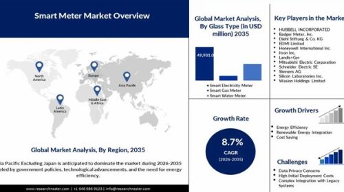 Smart meters market