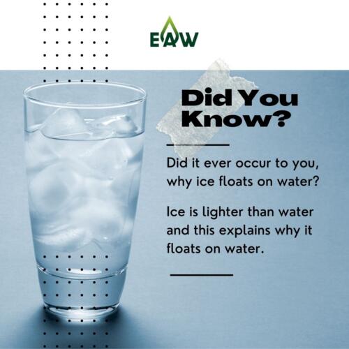 Intersting Fact About Ice